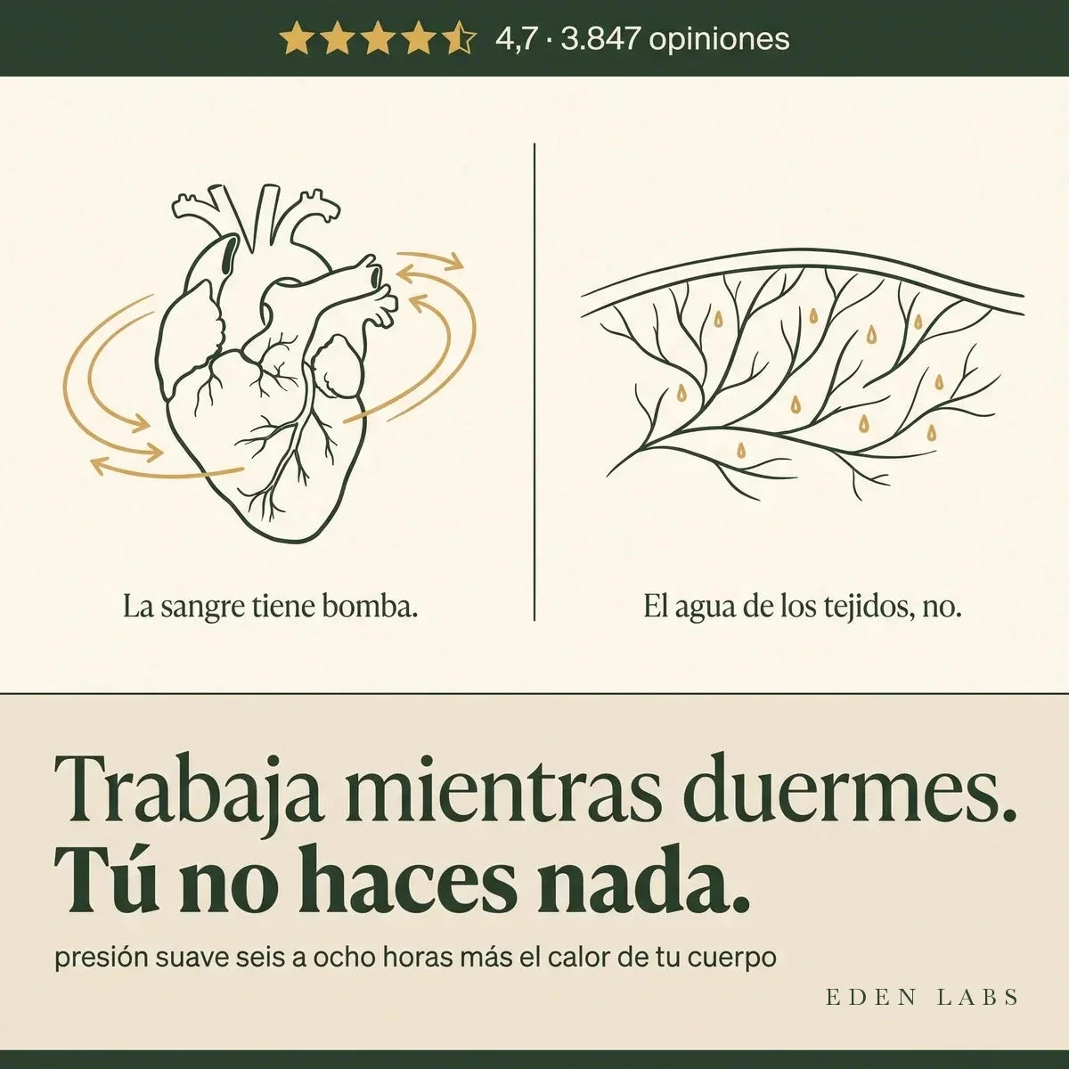 La sangre tiene bomba y el agua de los tejidos no: la compresa Eden Labs trabaja mientras duermes